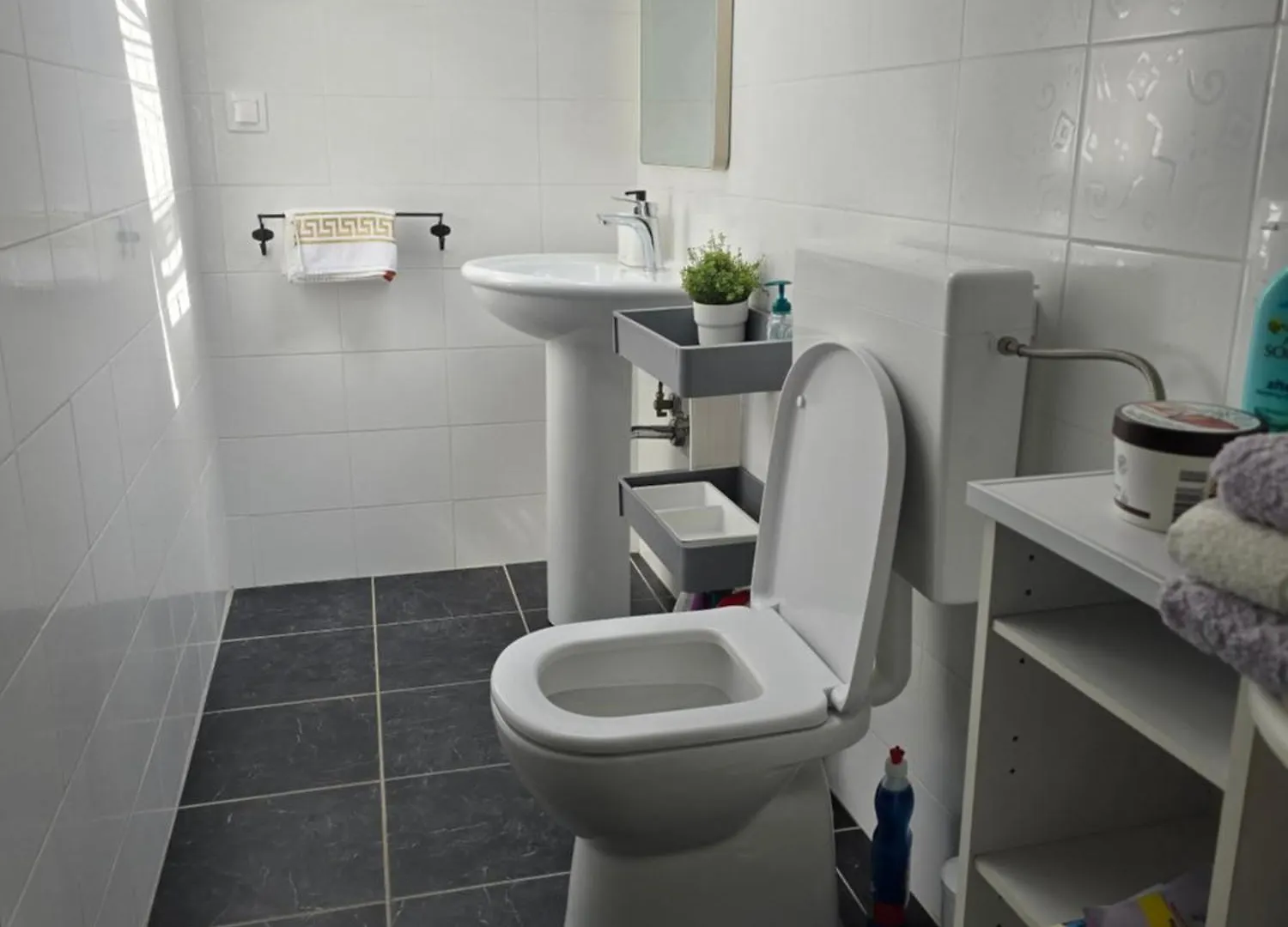 Apartman Ivy Premantura
